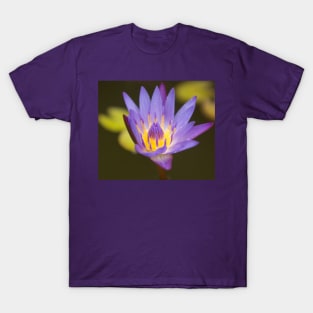 Nymphaea Water Lily Pad T-Shirt